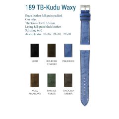 CINTURINO ANTILOPE KUDU HYOPOALLERGE PALE BLUE