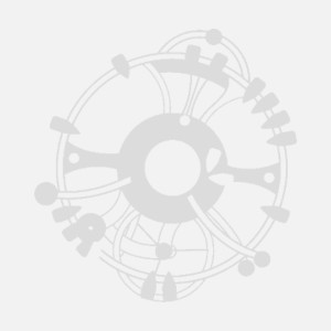 CINTURINO IN VITELLO STAMPA ALLIGATORE BREIL STYLE DONNA